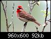     
: 1-PhHqw2qoX0nxjXa53x8A-wide.jpg
: 120
:	92.2 
ID:	57529