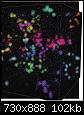    
:  14-11-2021 153608.jpg
: 114
:	101.6 
ID:	59804