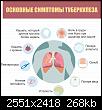     
: 11simptomyi.jpg
: 56
:	267.6 
ID:	60769
