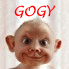 ������ ��� gogy