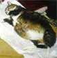   Grigory