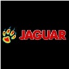 ������ ��� jaguar92