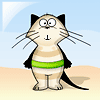 ������ ��� CatTT
